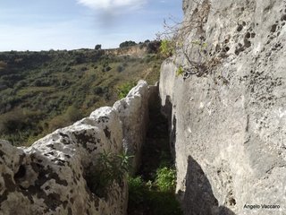 traro-30-12-2021 18-28-36